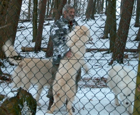 Werner Freund mit Wlfen